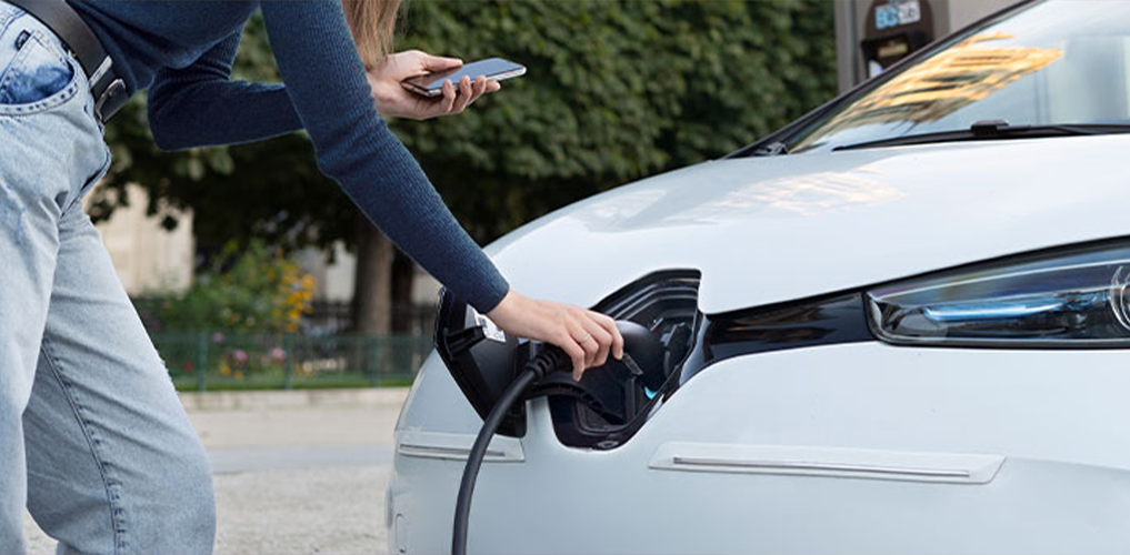 Didem Aras, Koçaslanlar Motorlu Araçlar, Koçaslanlar, Renault, Dacia