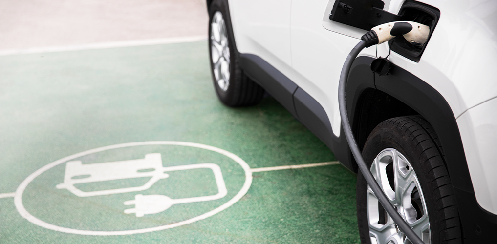 Koçaslanlar Motorlu Araçlar, Motorlu Araçlar, Koçaslanlar, Renault, Dacia